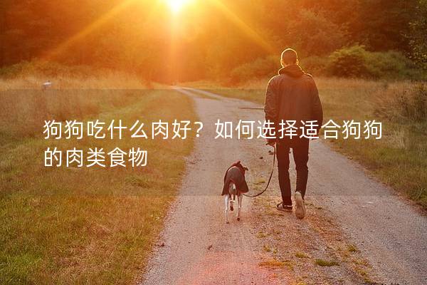 狗狗吃什么肉好？如何選擇適合狗狗的肉類食物