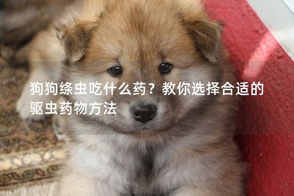 狗狗絳蟲吃什么藥？教你選擇合適的驅蟲藥物方法