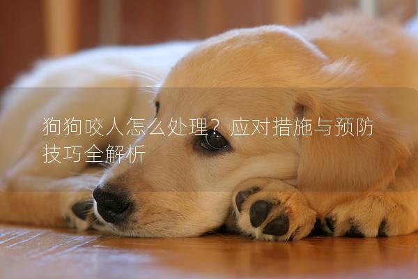 狗狗咬人怎么處理？應對措施與預防技巧全解析