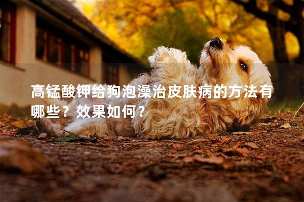 高錳酸鉀給狗泡澡治皮膚病的方法有哪些？效果如何？