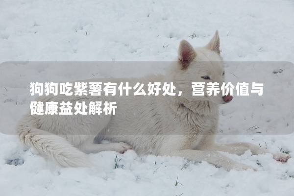 狗狗吃紫薯有什么好處，營養價值與健康益處解析