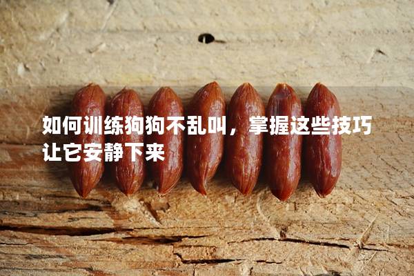 如何訓練狗狗不亂叫，掌握這些技巧讓它安靜下來