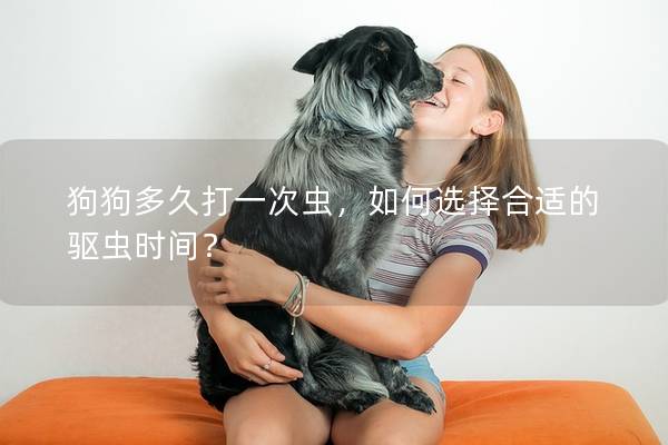 狗狗多久打一次蟲，如何選擇合適的驅蟲時間？