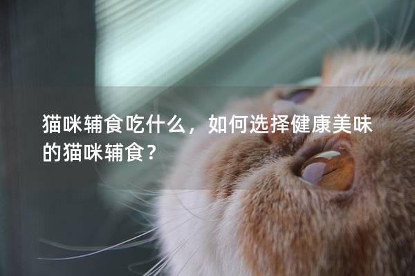貓咪輔食吃什么，如何選擇健康美味的貓咪輔食？