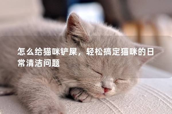 怎么給貓咪鏟屎，輕松搞定貓咪的日常清潔問題