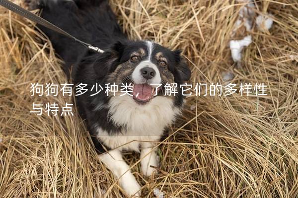 狗狗有多少種類，了解它們的多樣性與特點