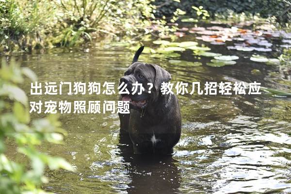 出遠(yuǎn)門狗狗怎么辦？教你幾招輕松應(yīng)對(duì)寵物照顧問題