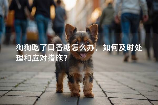 狗狗吃了口香糖怎么辦，如何及時(shí)處理和應(yīng)對(duì)措施？