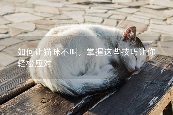 如何讓貓咪不叫，掌握這些技巧讓你輕松應(yīng)對(duì)