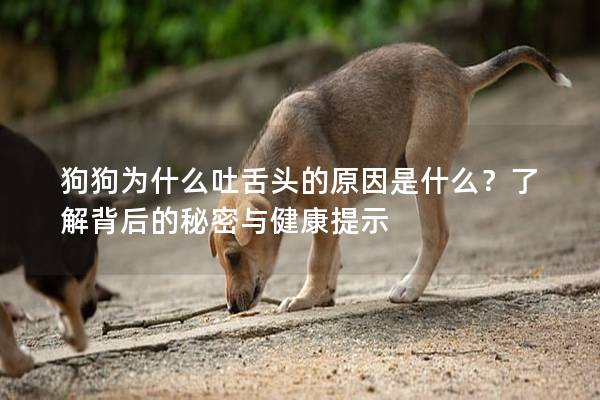 狗狗為什么吐舌頭的原因是什么？了解背后的秘密與健康提示