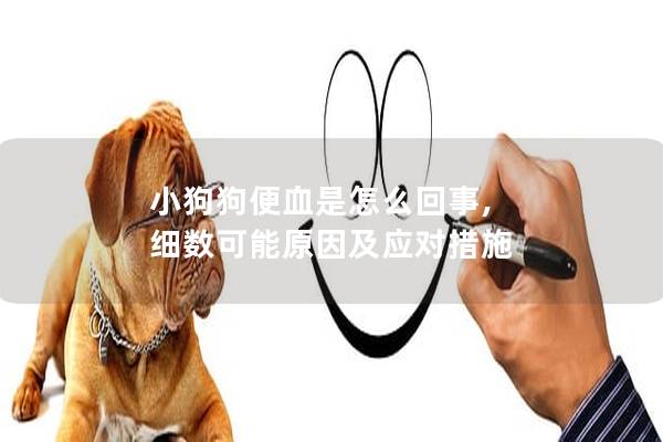 小狗狗便血是怎么回事, 細數可能原因及應對措施