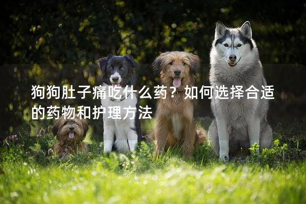 狗狗肚子痛吃什么藥？如何選擇合適的藥物和護(hù)理方法