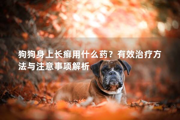 狗狗身上長癬用什么藥？有效治療方法與注意事項解析