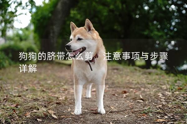 狗狗的臍帶怎么剪，注意事項與步驟詳解