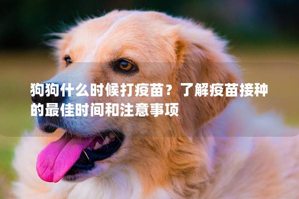 狗狗什么時候打疫苗？了解疫苗接種的最佳時間和注意事項