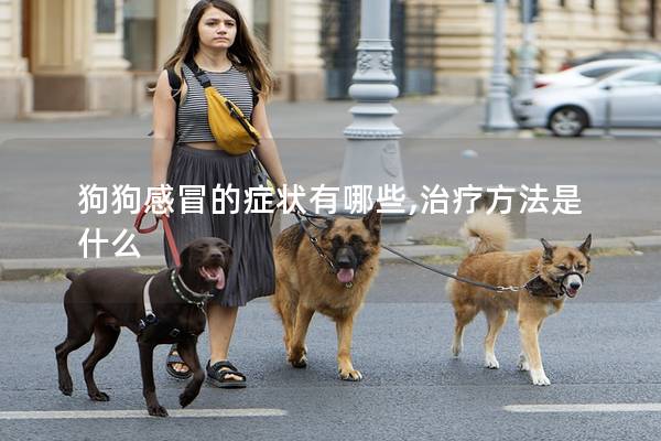 狗狗感冒的癥狀有哪些,治療方法是什么 狗狗感冒的癥狀有哪些,治療方法是什么