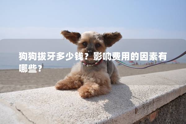 狗狗拔牙多少錢？影響費用的因素有哪些？