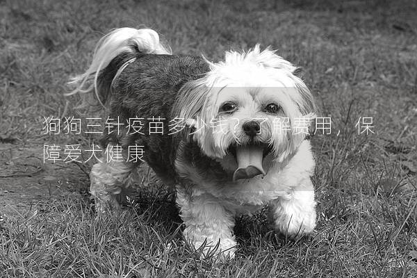 狗狗三針疫苗多少錢？了解費用，保障愛犬健康