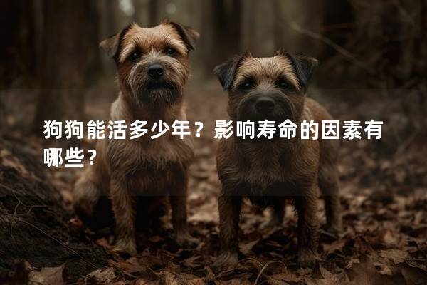 狗狗能活多少年？影響壽命的因素有哪些？