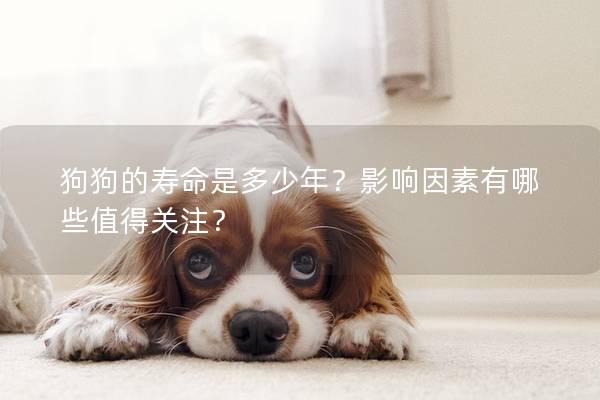 狗狗的壽命是多少年？影響因素有哪些值得關(guān)注？