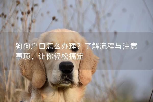 狗狗戶口怎么辦理？了解流程與注意事項，讓你輕松搞定