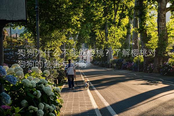 狗狗為什么不能吃櫻桃？了解櫻桃對狗狗的危害與影響