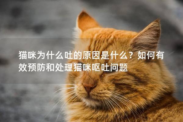 貓咪為什么吐的原因是什么？如何有效預防和處理貓咪嘔吐問題