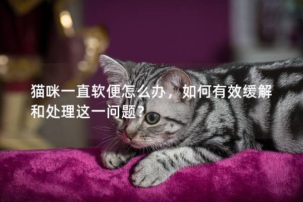 貓咪一直軟便怎么辦，如何有效緩解和處理這一問題？