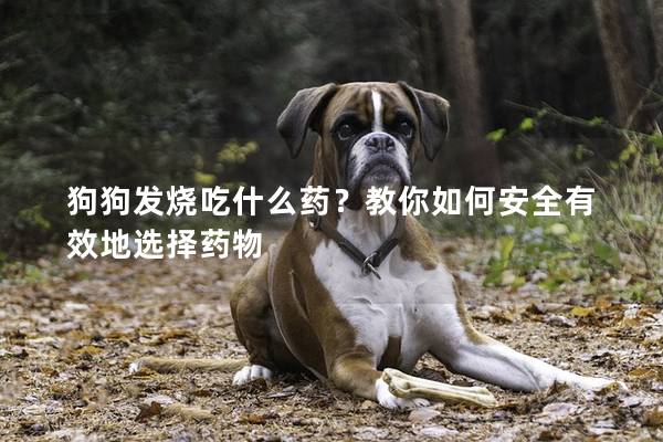狗狗發燒吃什么藥？教你如何安全有效地選擇藥物