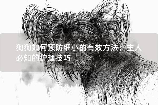 狗狗如何預防細小的有效方法，主人必知的護理技巧