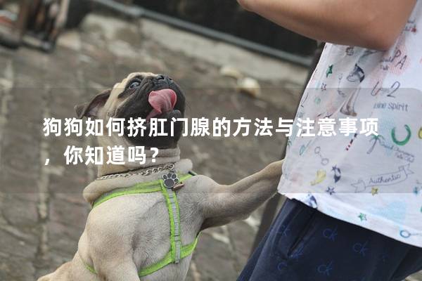 狗狗如何擠肛門腺的方法與注意事項，你知道嗎？