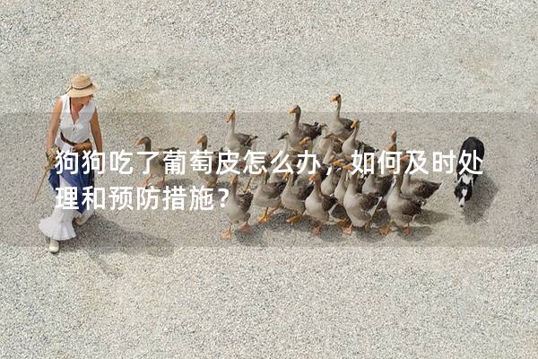 狗狗吃了葡萄皮怎么辦，如何及時處理和預防措施？