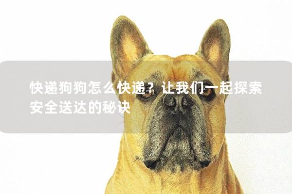 快遞狗狗怎么快遞?讓我們一起探索安全送達的秘訣 快遞狗狗怎么快遞?讓我們一起探索安全送達的秘訣