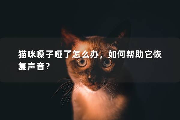 貓咪嗓子啞了怎么辦，如何幫助它恢復聲音？