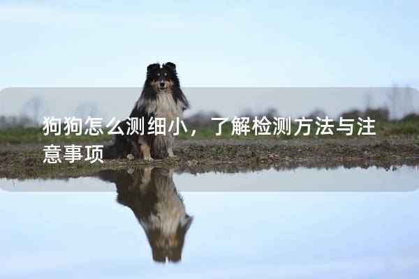 狗狗怎么測細(xì)小，了解檢測方法與注意事項