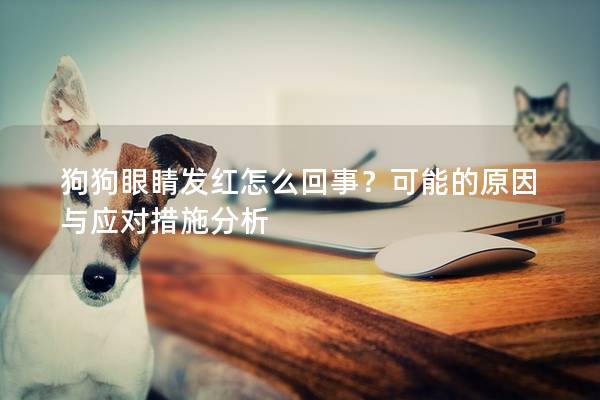 狗狗眼睛發(fā)紅怎么回事？可能的原因與應(yīng)對措施分析