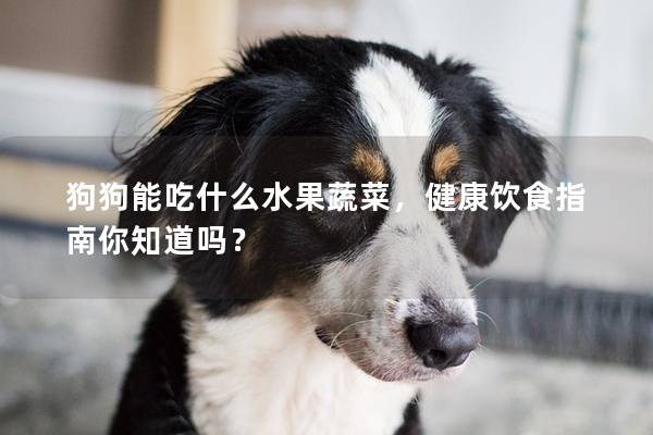 狗狗能吃什么水果蔬菜，健康飲食指南你知道嗎？