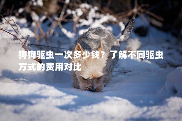 狗狗驅蟲一次多少錢？了解不同驅蟲方式的費用對比