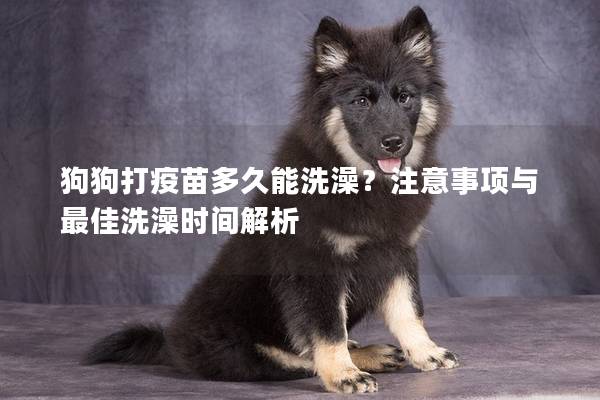 狗狗打疫苗多久能洗澡？注意事項(xiàng)與最佳洗澡時(shí)間解析