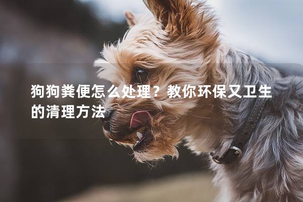 狗狗糞便怎么處理？教你環(huán)保又衛(wèi)生的清理方法