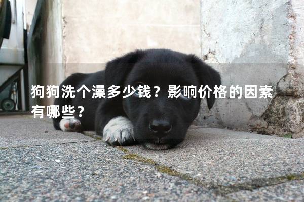 狗狗洗個澡多少錢？影響價格的因素有哪些？