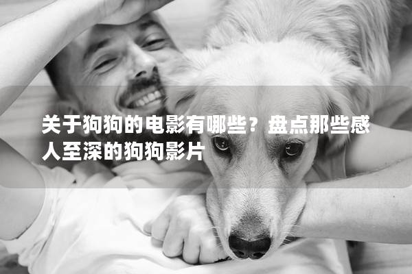 關于狗狗的電影有哪些？盤點那些感人至深的狗狗影片