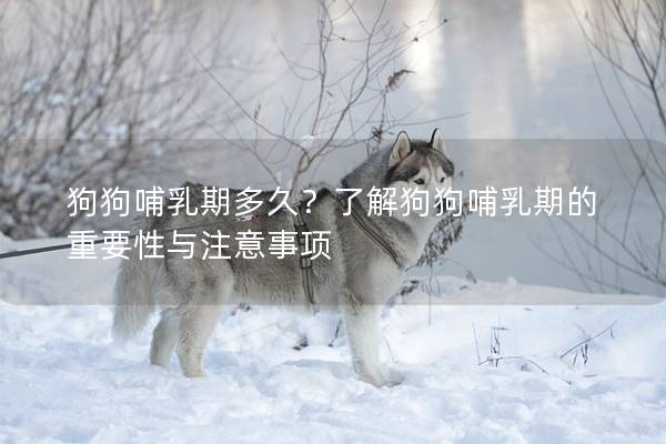 狗狗哺乳期多久?了解狗狗哺乳期的重要性與注意事項 狗狗哺乳期多久?了解狗狗哺乳期的重要性與注意事項