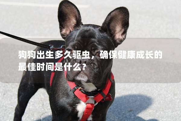 狗狗出生多久驅蟲,確保健康成長的最佳時間是什么? 狗狗出生多久驅蟲,確保健康成長的最佳時間是什么?