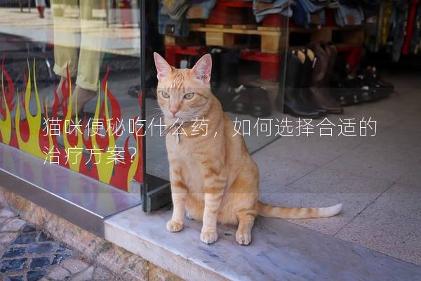 貓咪便秘吃什么藥，如何選擇合適的治療方案？