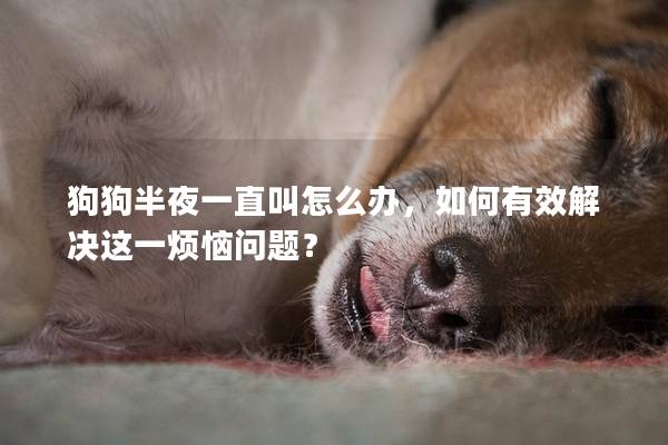 狗狗半夜一直叫怎么辦,如何有效解決這一煩惱問題? 狗狗半夜一直叫怎么辦,如何有效解決這一煩惱問題?