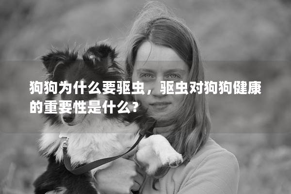 狗狗為什么要驅蟲，驅蟲對狗狗健康的重要性是什么？