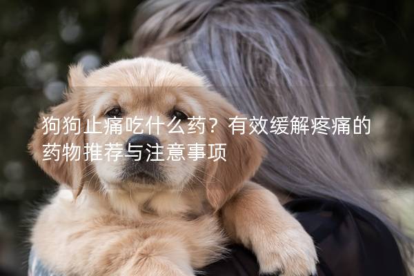 狗狗止痛吃什么藥？有效緩解疼痛的藥物推薦與注意事項