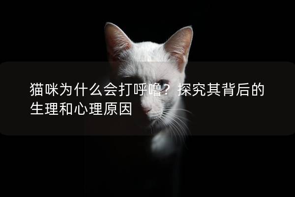 貓咪為什么會打呼嚕？探究其背后的生理和心理原因