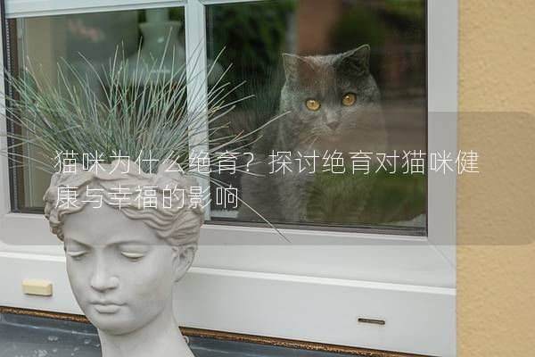 貓咪為什么絕育？探討絕育對貓咪健康與幸福的影響